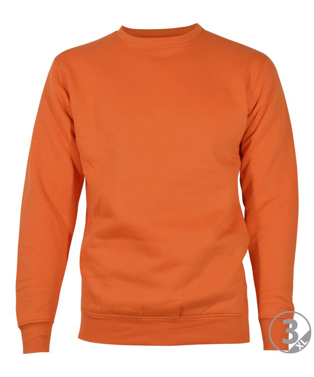 SUDADERA CLASSIC - Imagen 5