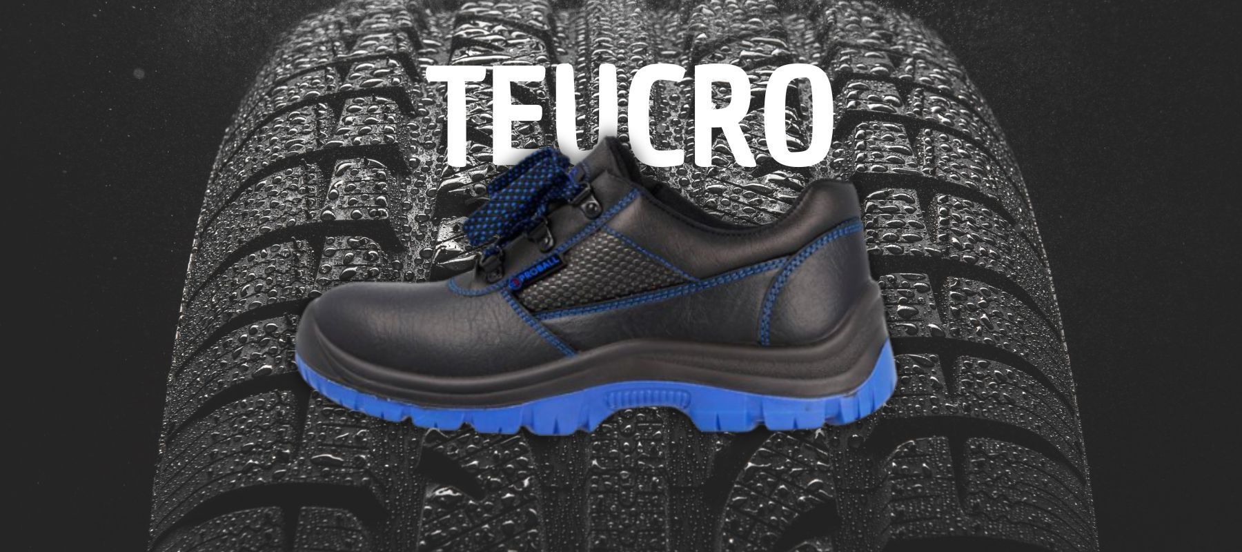 TEUCRO PORTADA